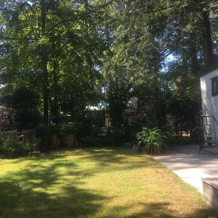 Sfeervol vakantiehuisje in bosrijke omgeving Vorden Buitenkant foto