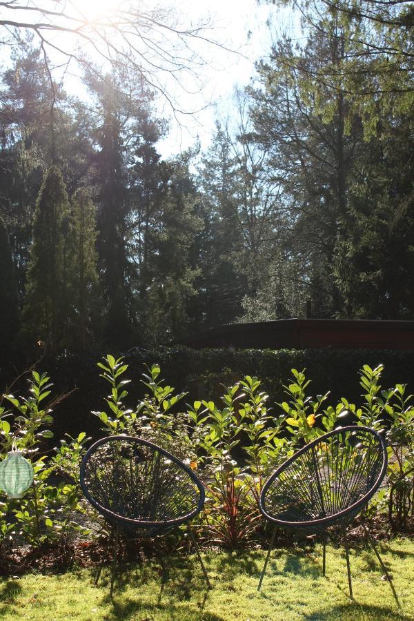 Sfeervol vakantiehuisje in bosrijke omgeving Vorden Buitenkant foto