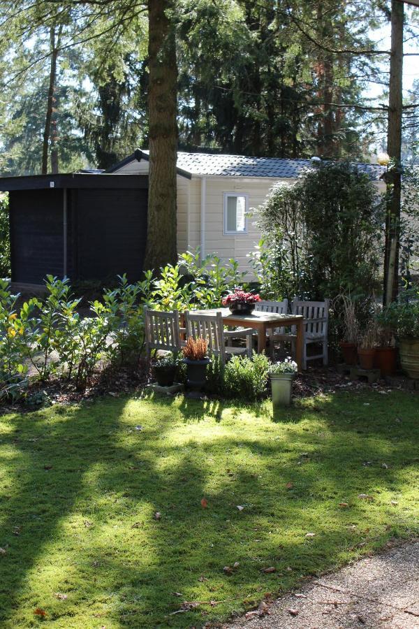 Sfeervol vakantiehuisje in bosrijke omgeving Vorden Buitenkant foto