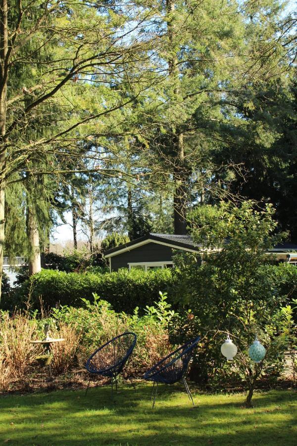 Sfeervol vakantiehuisje in bosrijke omgeving Vorden Buitenkant foto